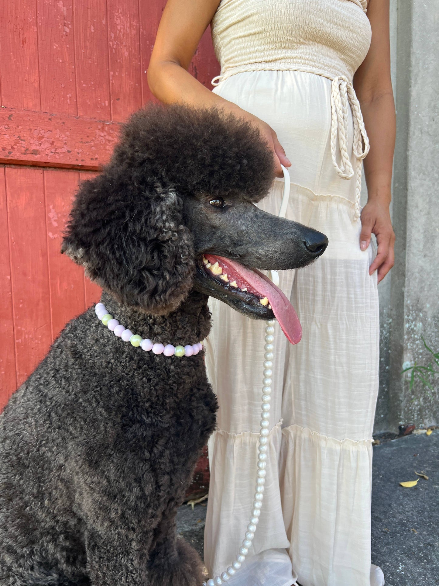 1960's Lilac | Beaded Dog/Cat Collar