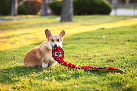 Snake Dog Toy Red XL