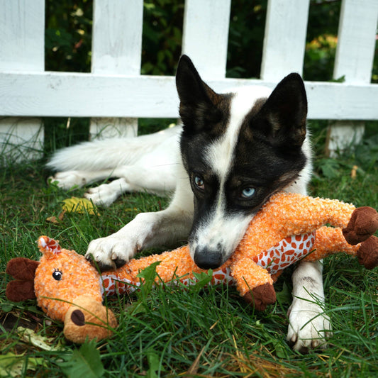 KONG® Shakers™ Luvs Giraffe Dog Plush Toy Large