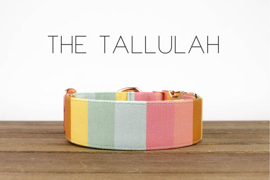 The Tallulah: Light Pink / 1" x M