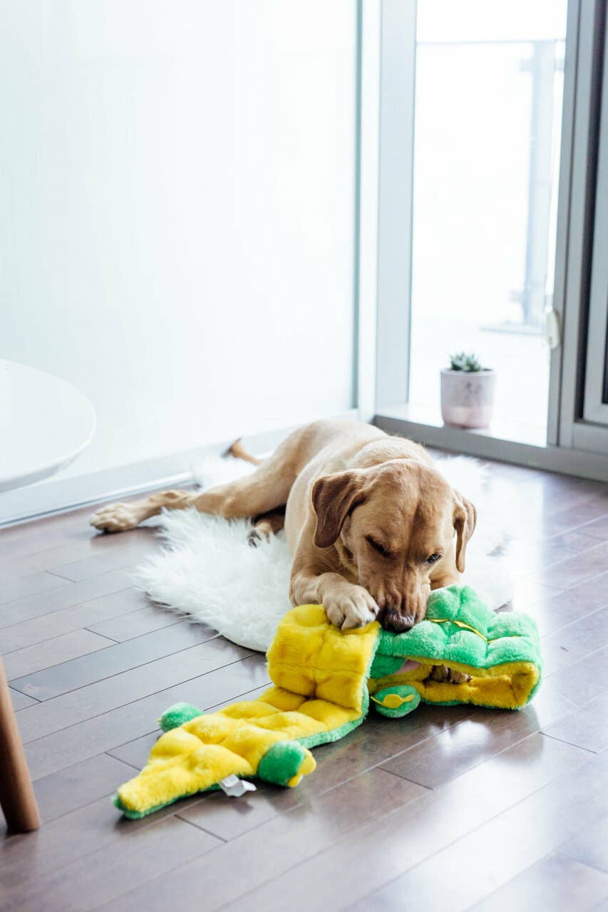 Gator Green Dog Toy XXL