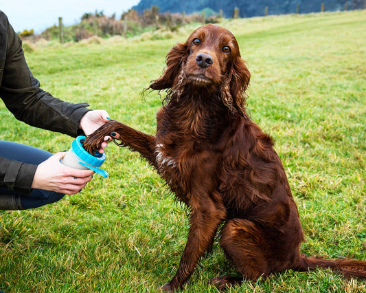 Henry Wag Pet Paw Cleaner