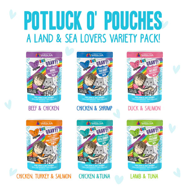 BFF OMG Gravy - Potluck O'Pouches Variety 12 Pack (2.8oz)