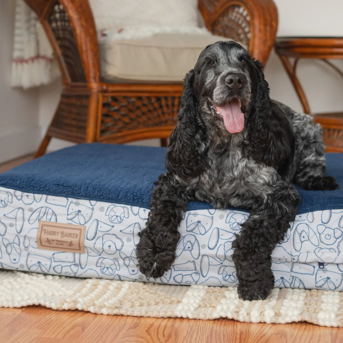 Orthopedic Pet Bed