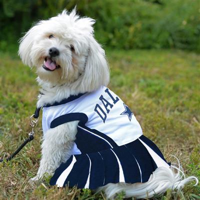 Dallas Cowboys Cheerleader Dress For Dogs