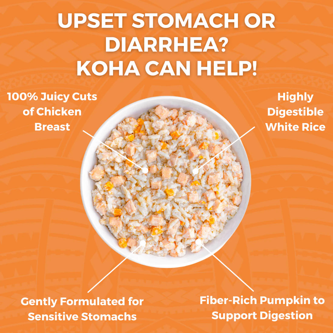 Koha Bland Diet - Chicken & Rice -12.5oz