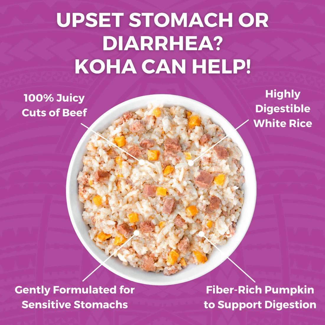 Koha Bland Diet- Beef & Rice -12.5oz