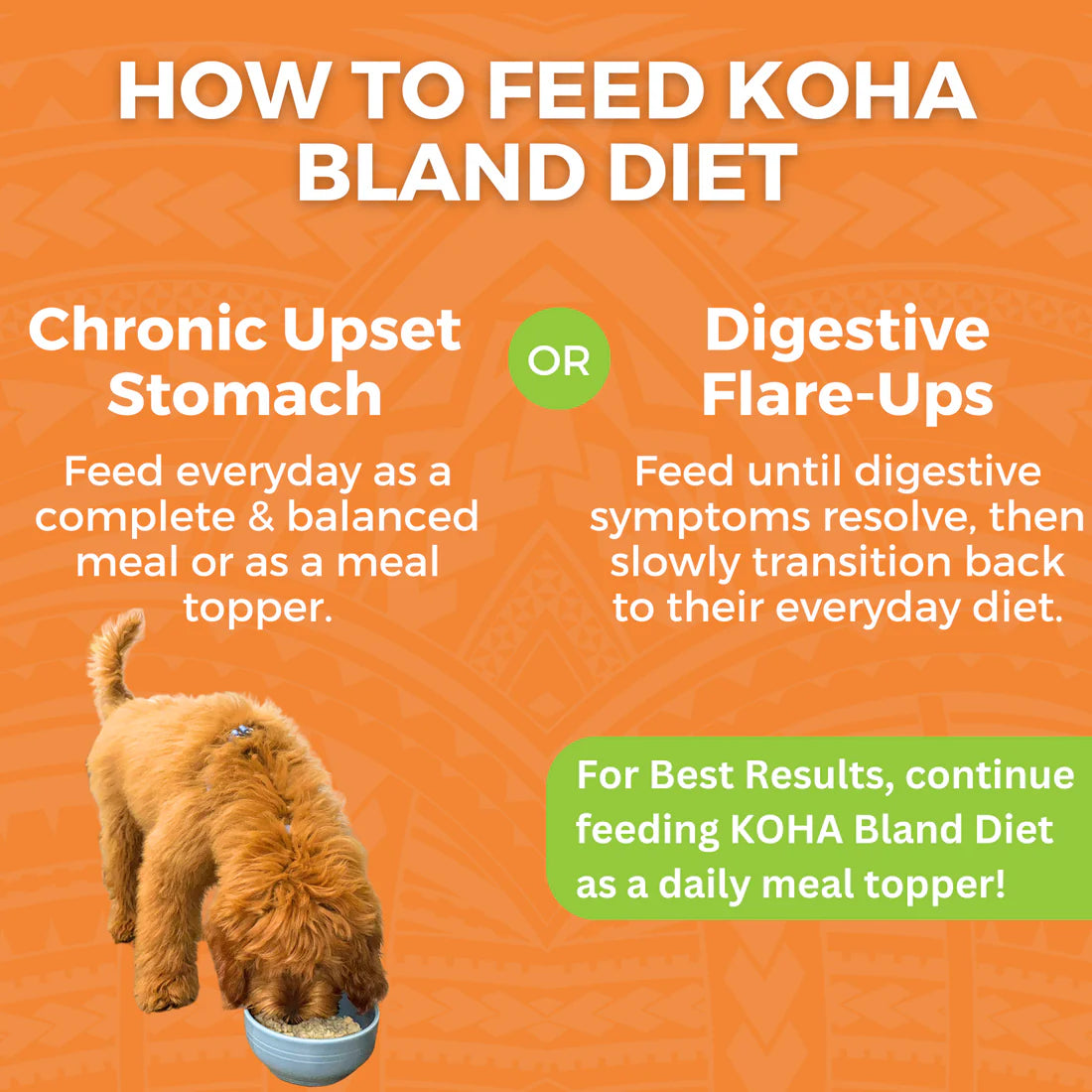 Koha Bland Diet - Chicken & Rice -12.5oz