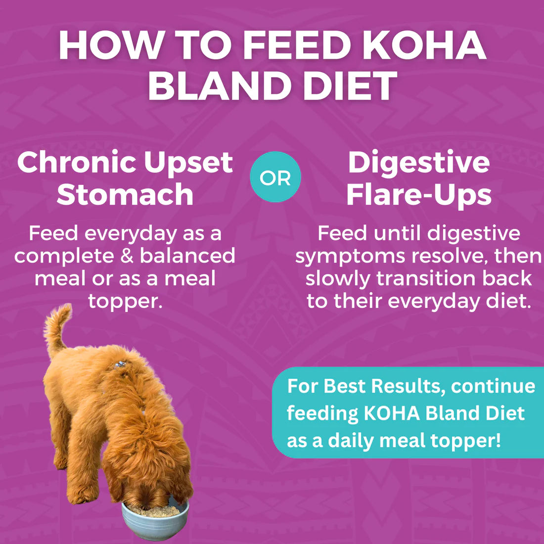 Koha Bland Diet- Beef & Rice -12.5oz