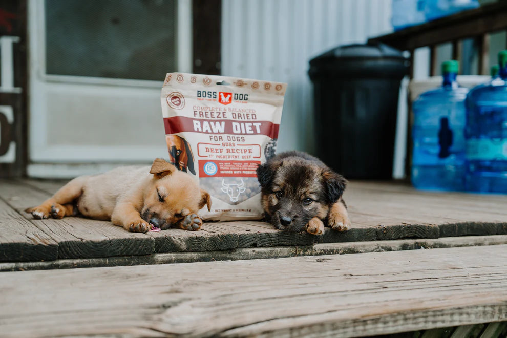 Boss Dog Freeze-Dried Beef Food - High-Protein, Grain-Free Raw Meal for Dogs with Natural Beef for Optimal Health and Nutrition