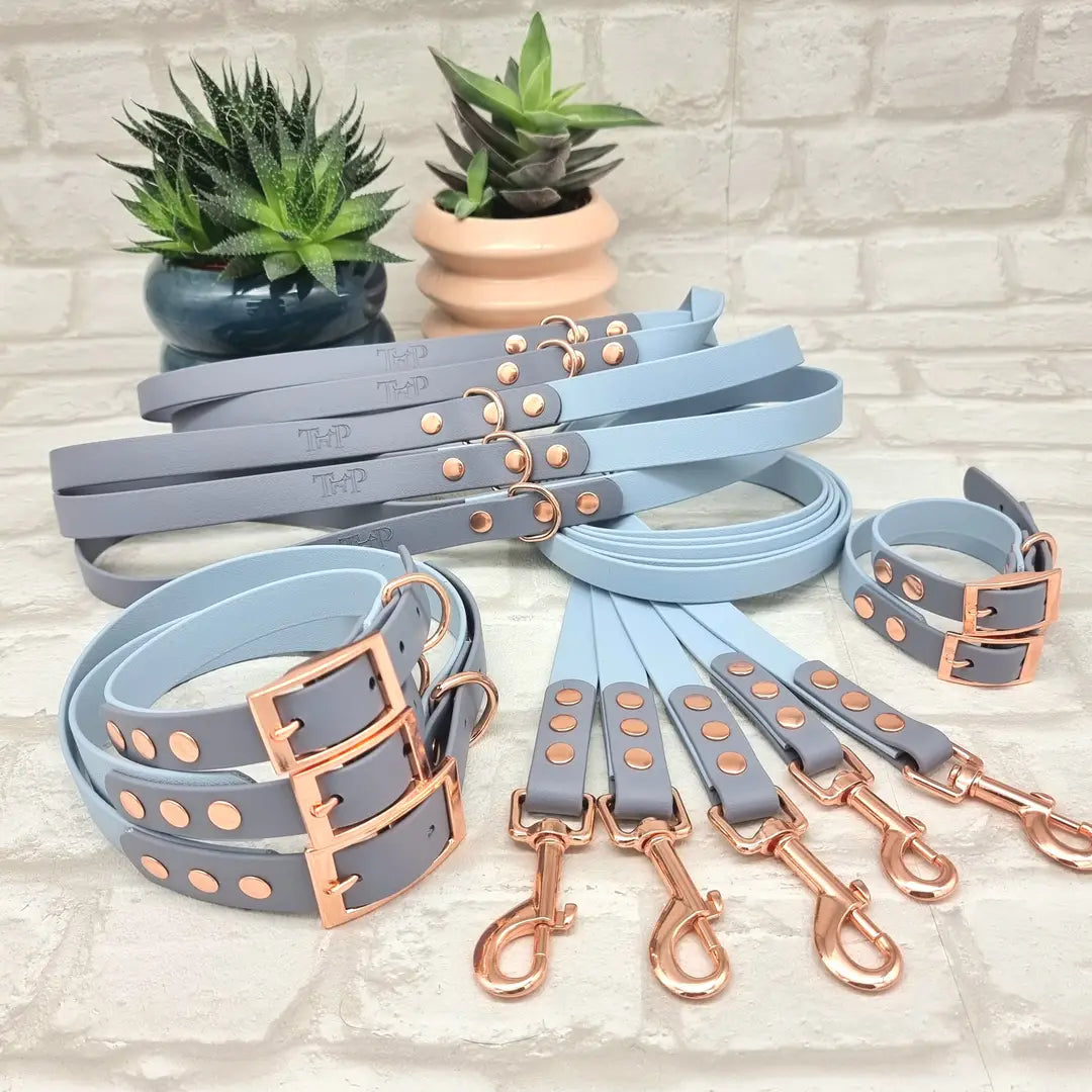 Waterproof dog leash- Pastel blue & Grey