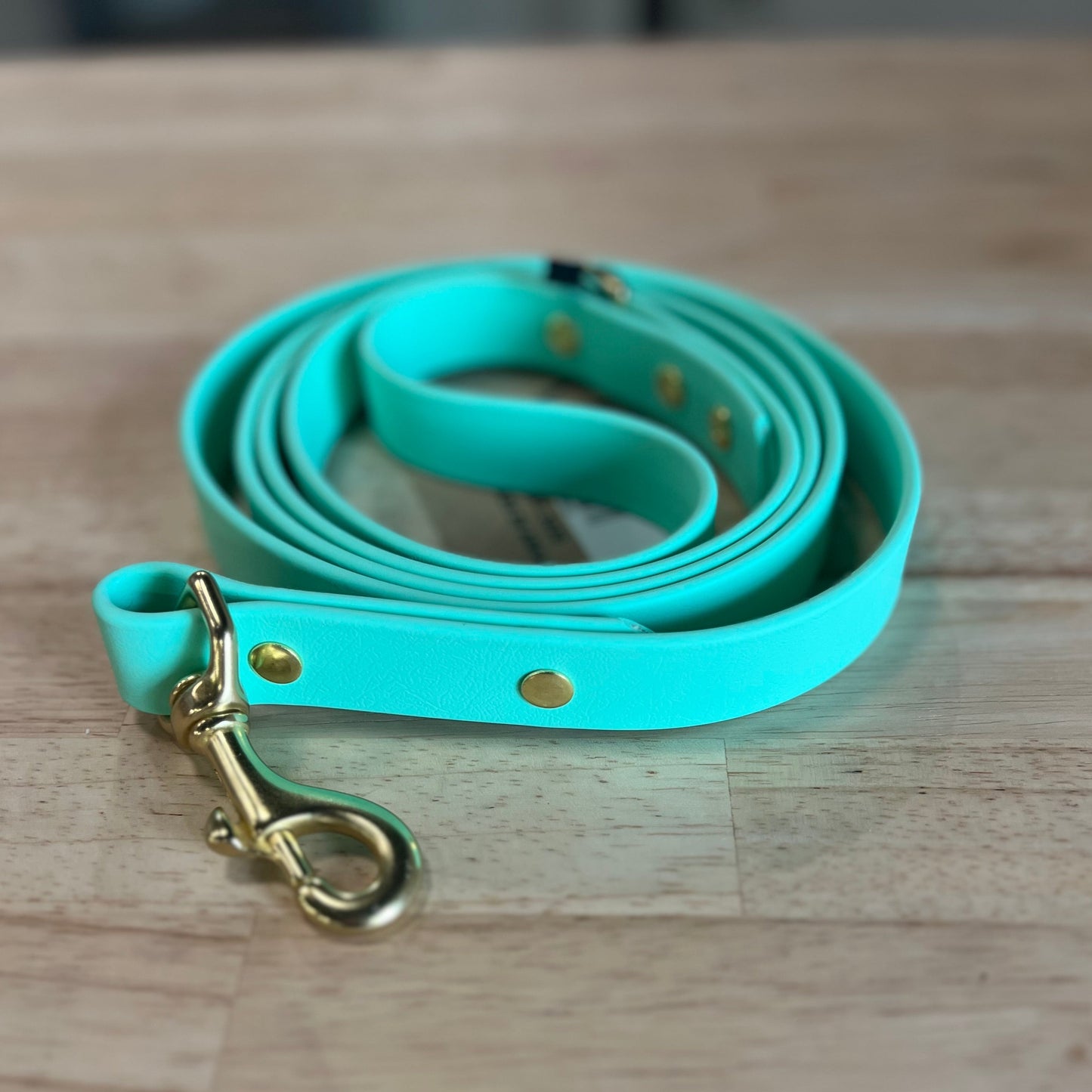 Seafoam Leash