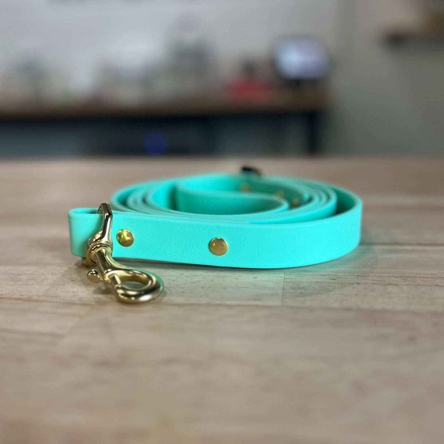 Seafoam Leash