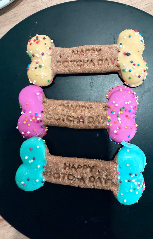 Happy Gotcha Day Bones