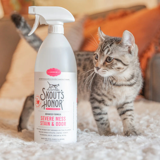 Skout's Honor Severe Mess For Cats-35oz