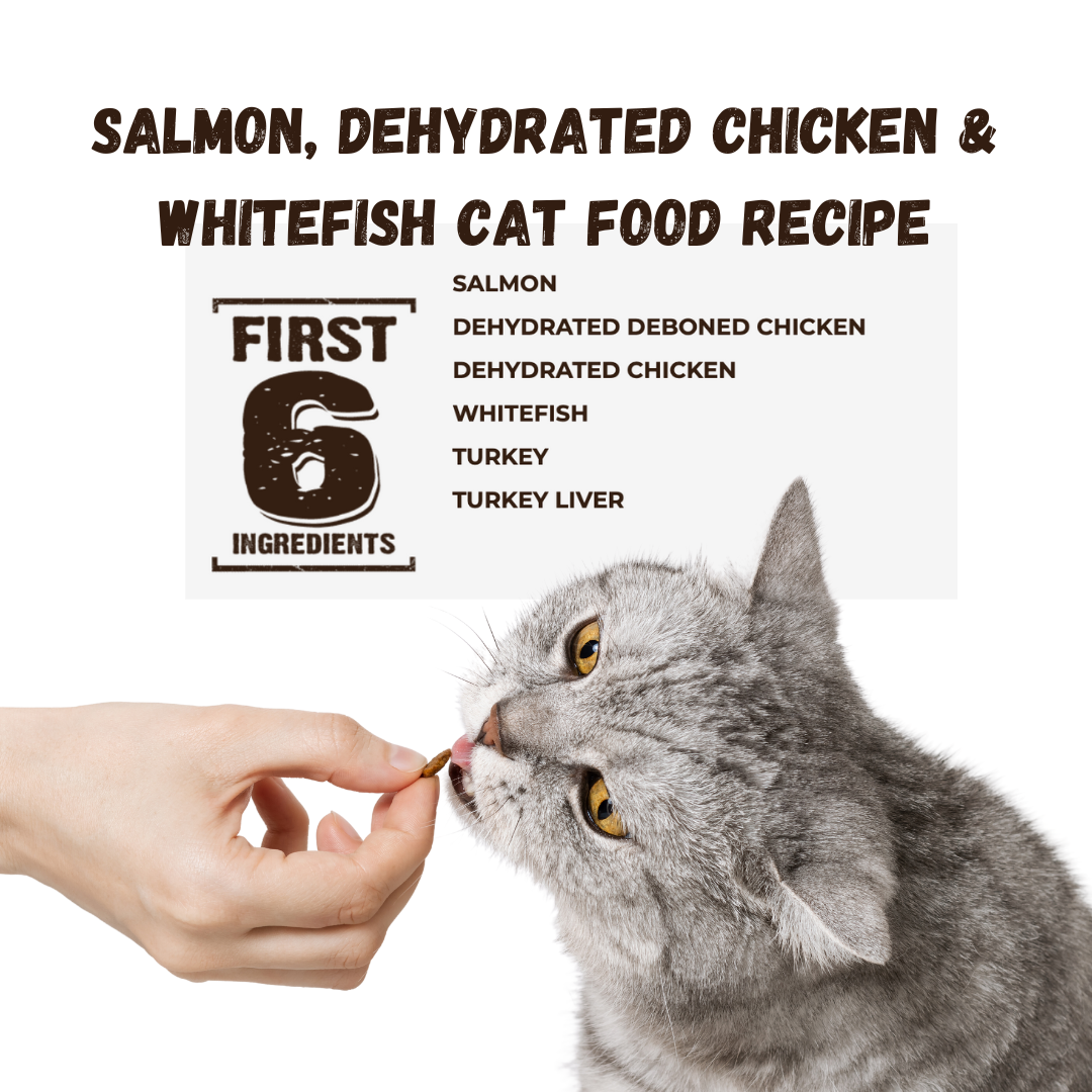 Salmon Chicken & Whitefish Cat Kibble