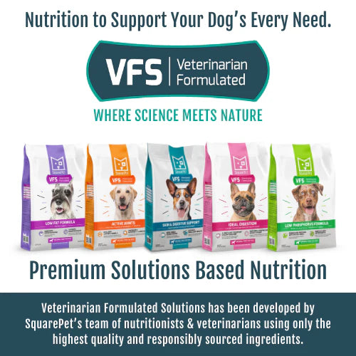 VFS Skin & Digestive Support | Sensitive Stomach