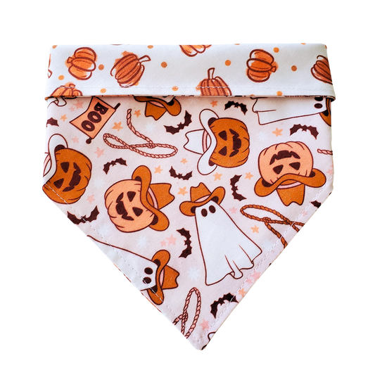 Cowboy Ghost - Reversible Dog Collar Bandana