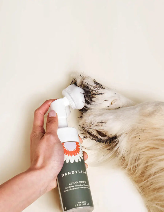 Clean Paws - No Rinse Foaming Cleanser