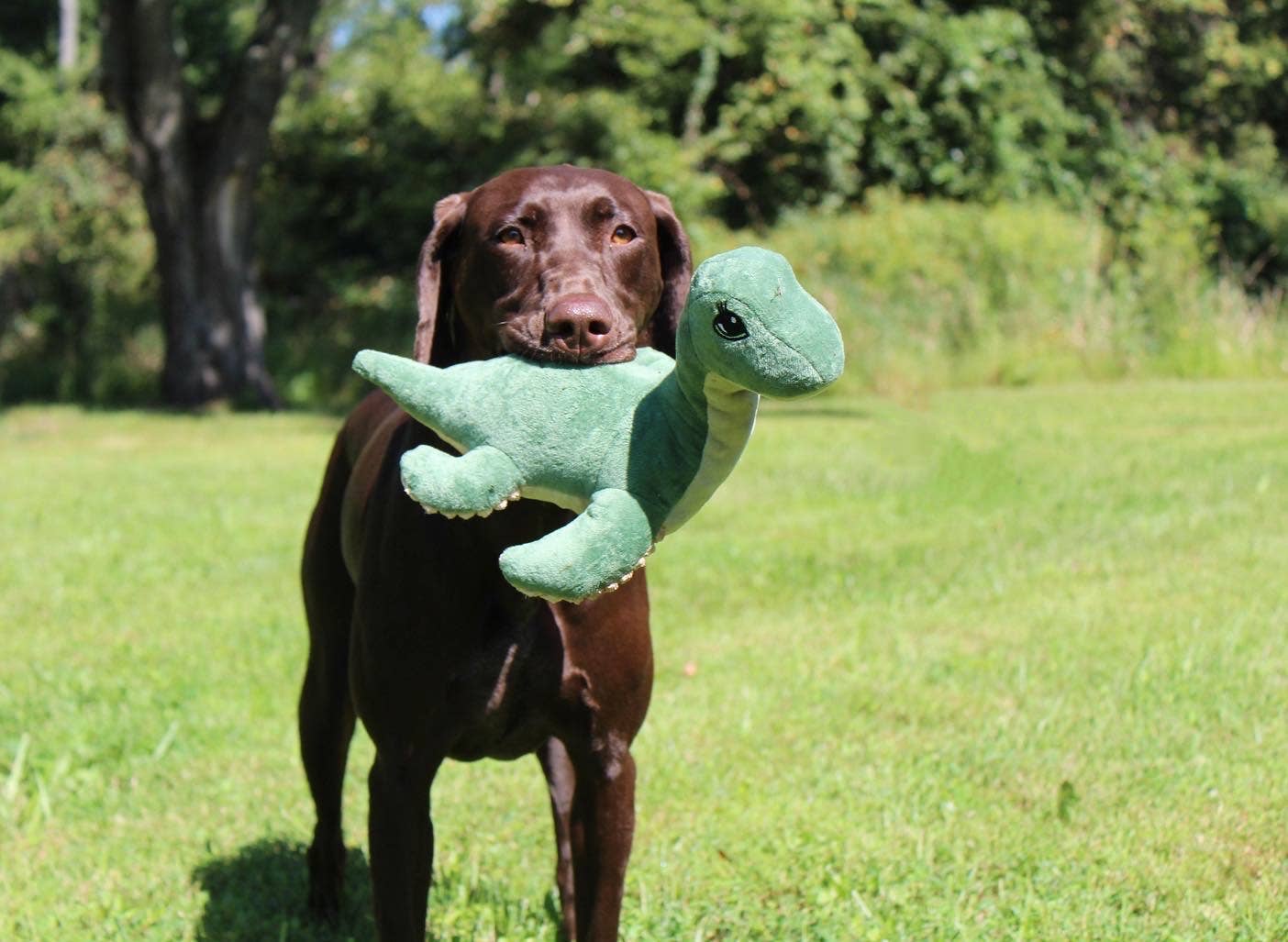 Plush Nessie with Squeaker Dog Toy - 13"