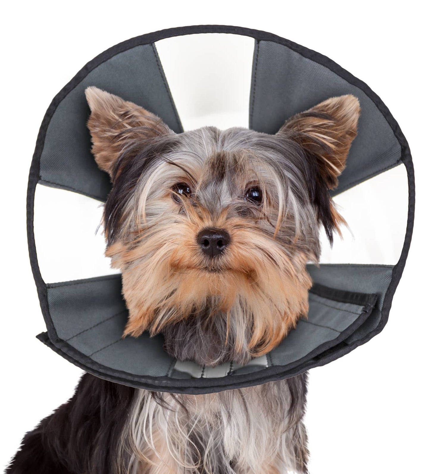 ZenCone - Soft Recovery Collar with Windows