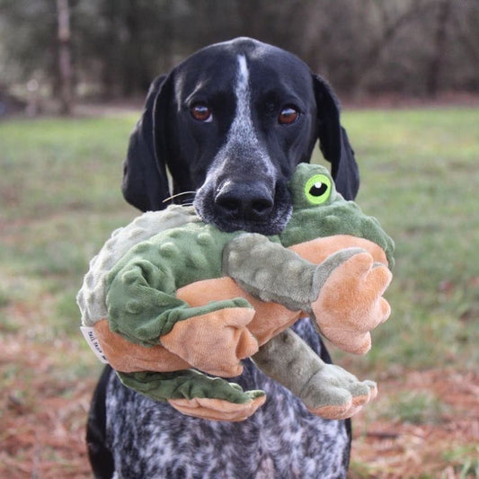 Animated Frog Plush Toy