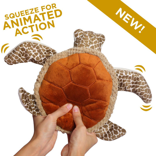 Animated Sea Turtle