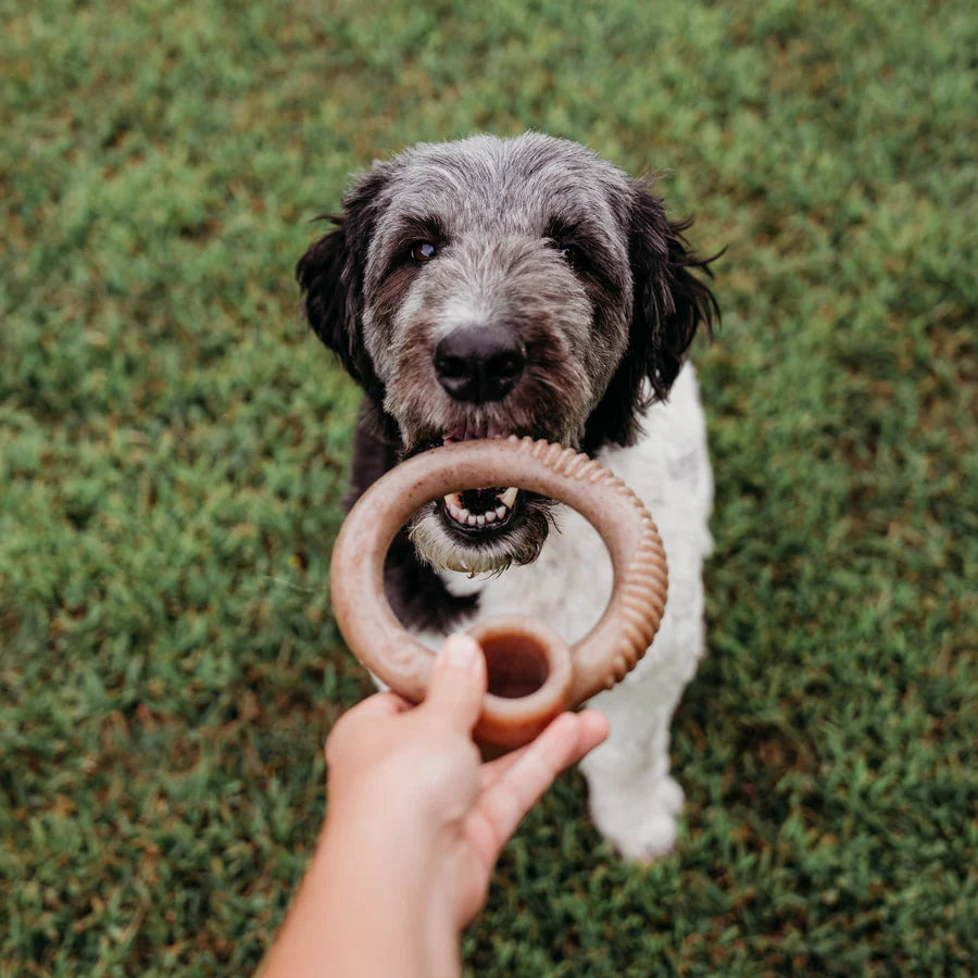 Benebone Ring - Bacon