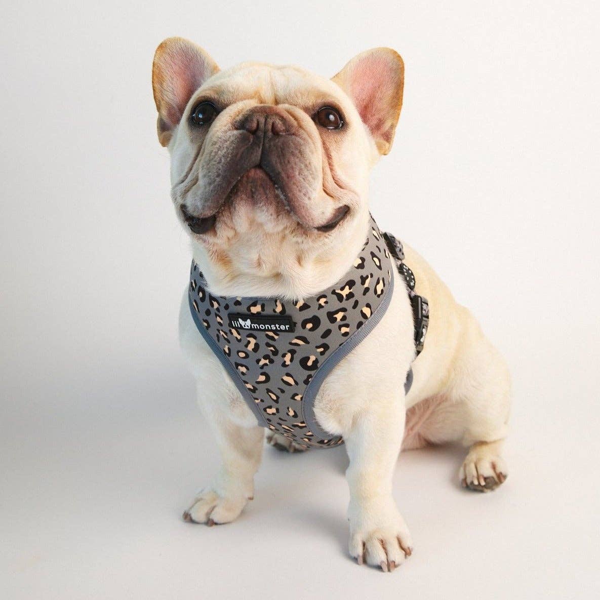 Reversible Harness - Spotted Gray