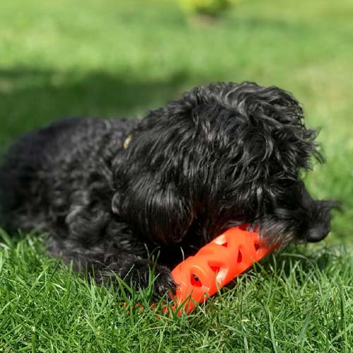 Chuckit!® Breath Right Stick – Durable Dog Toy with Breathable Holes for Easy Fetch and Enhanced Chewing Fun