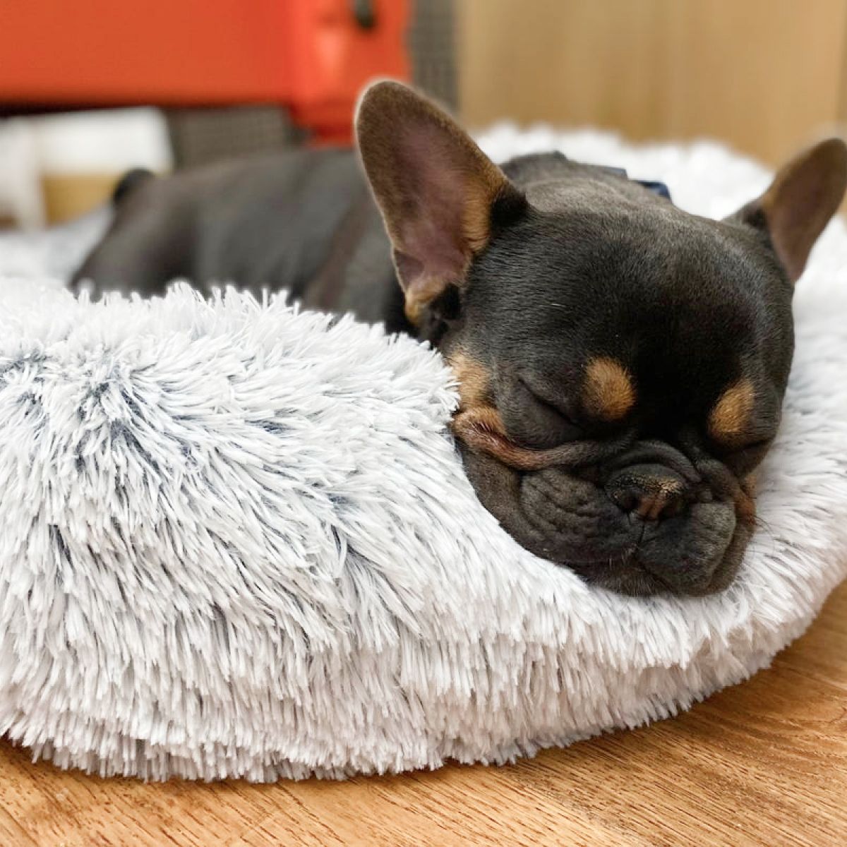 Cuddle Donut Bed - Frosted Gray