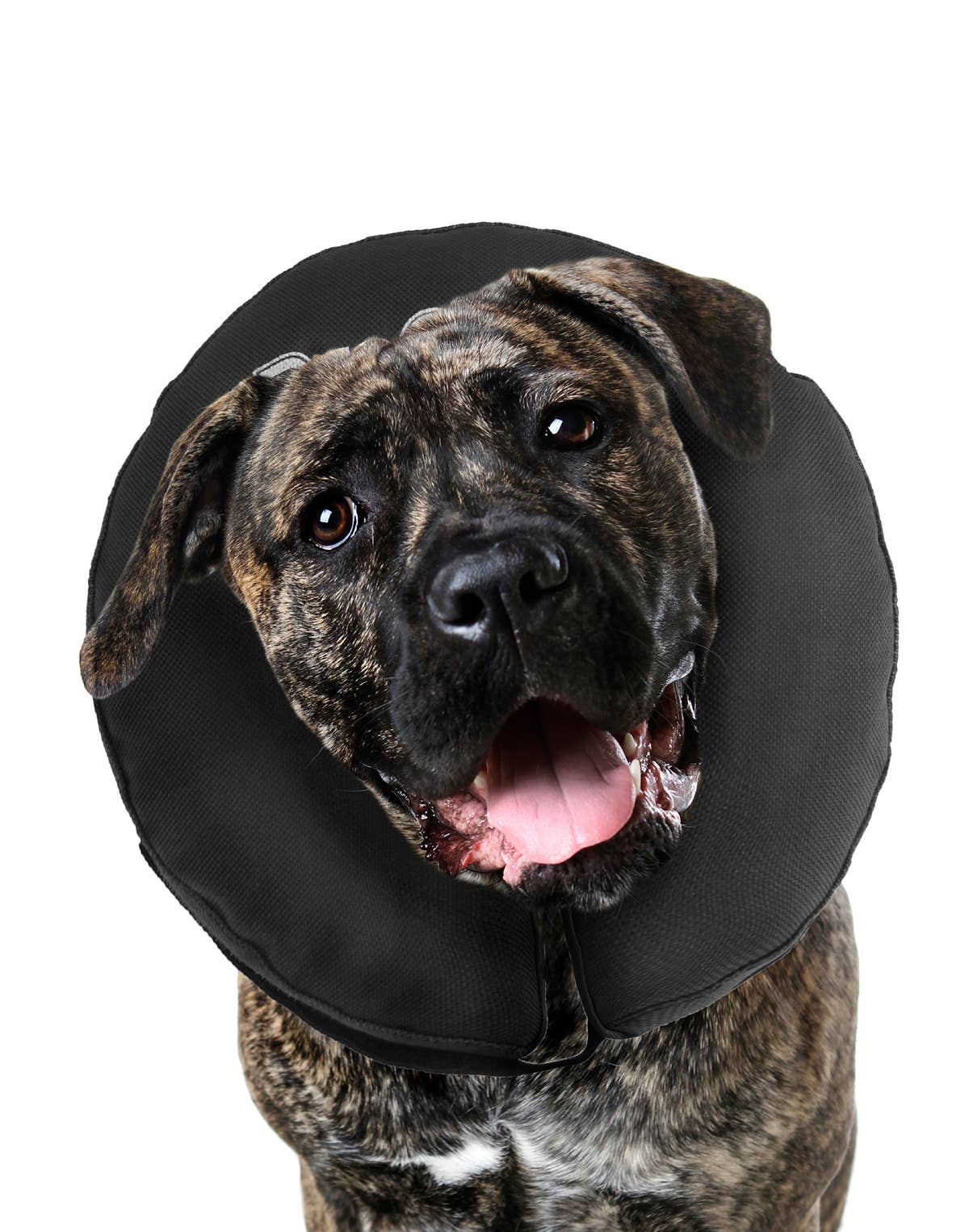 ZenCollar - Inflatable Recovery Collar