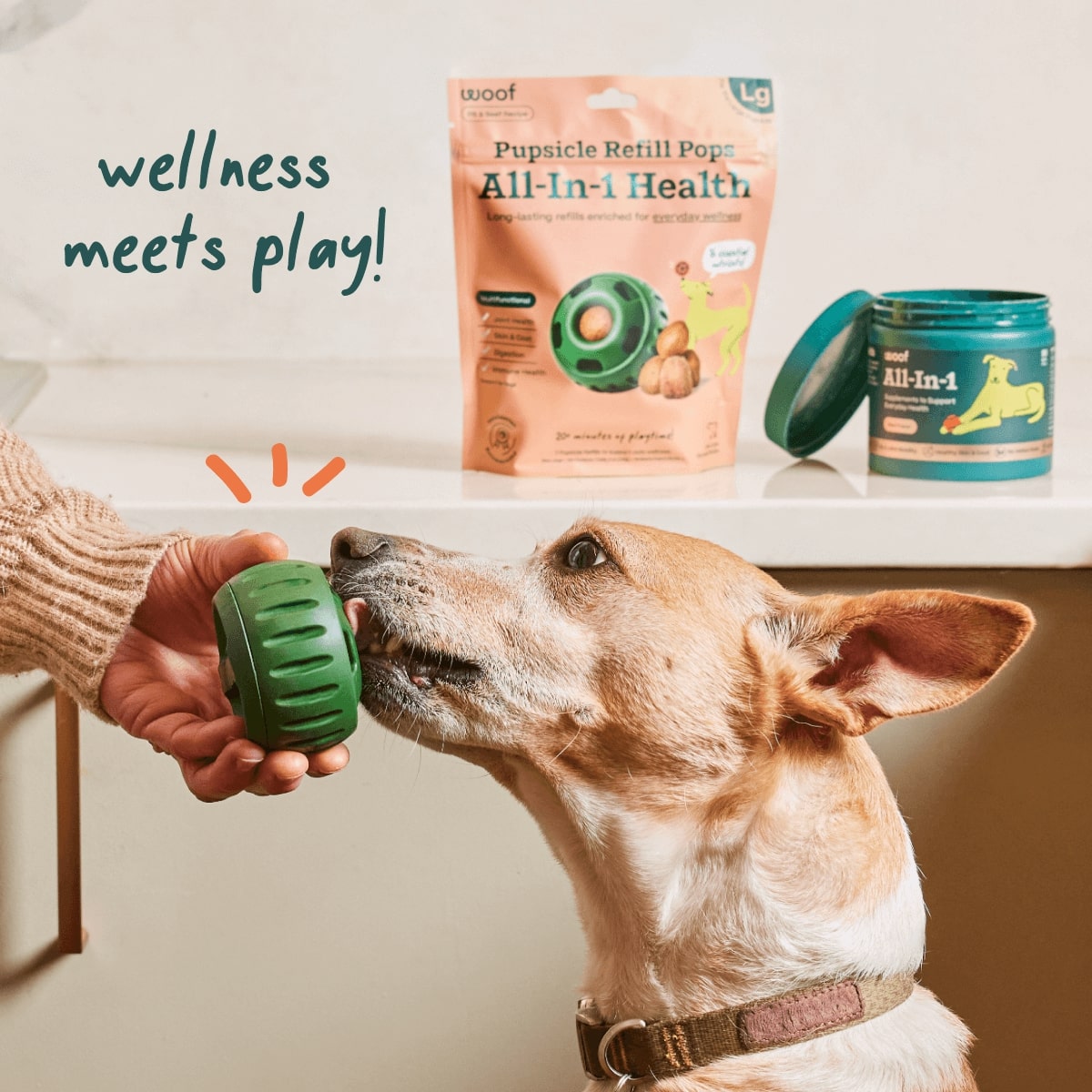 All-In-1 Health Pupsicle Pops - Long Lasting Treats for Pupsicle Toy