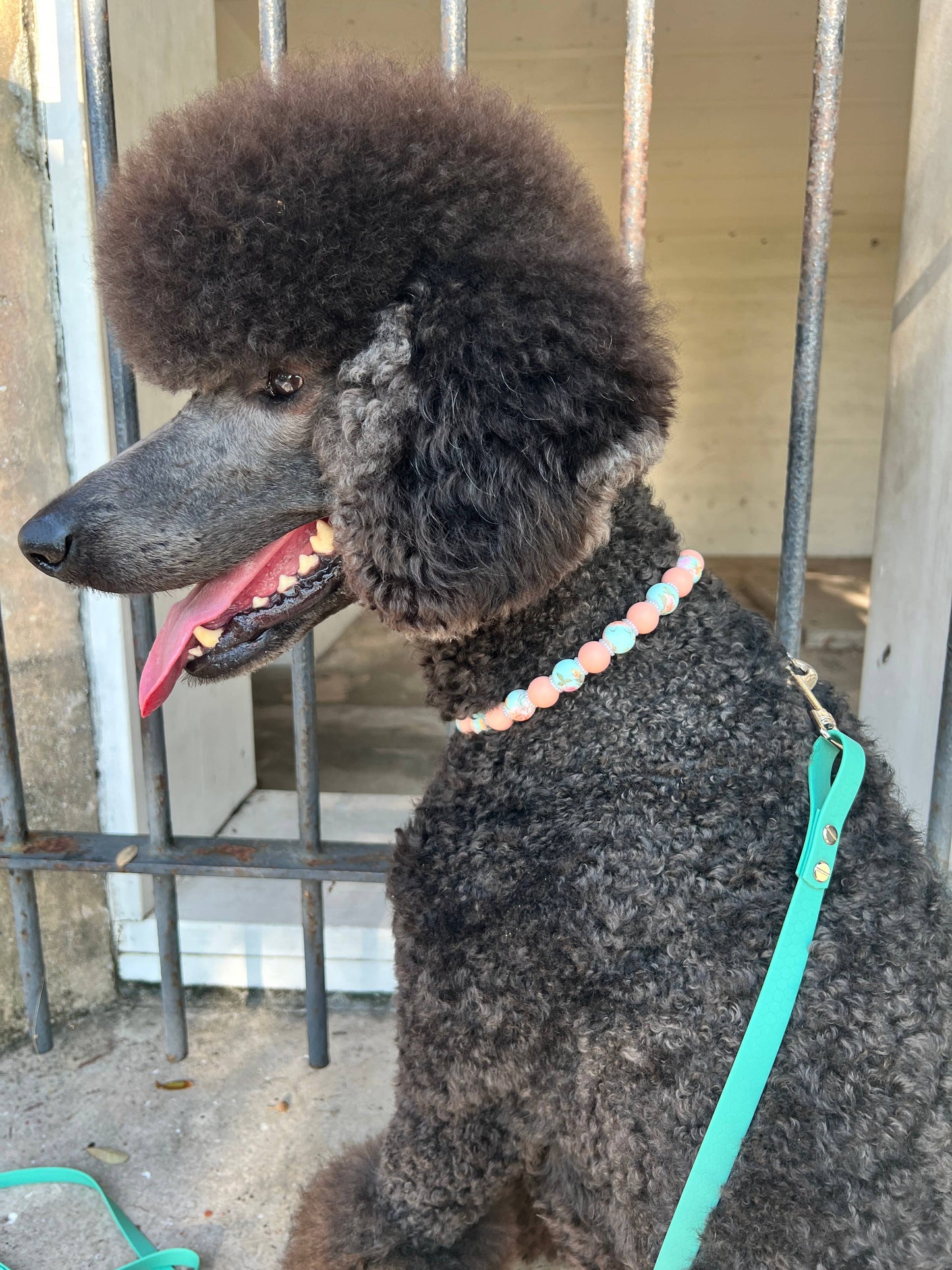 1930's Posies | Beaded Dog/Cat Collar