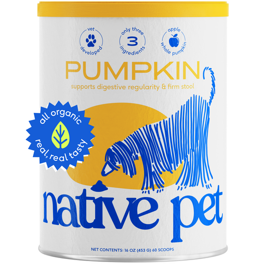 Native Pet Pumpkin Powder, organic pumpkin supplement for dogs, supports digestive health, soothes upset stomachs, and promotes healthy digestion.