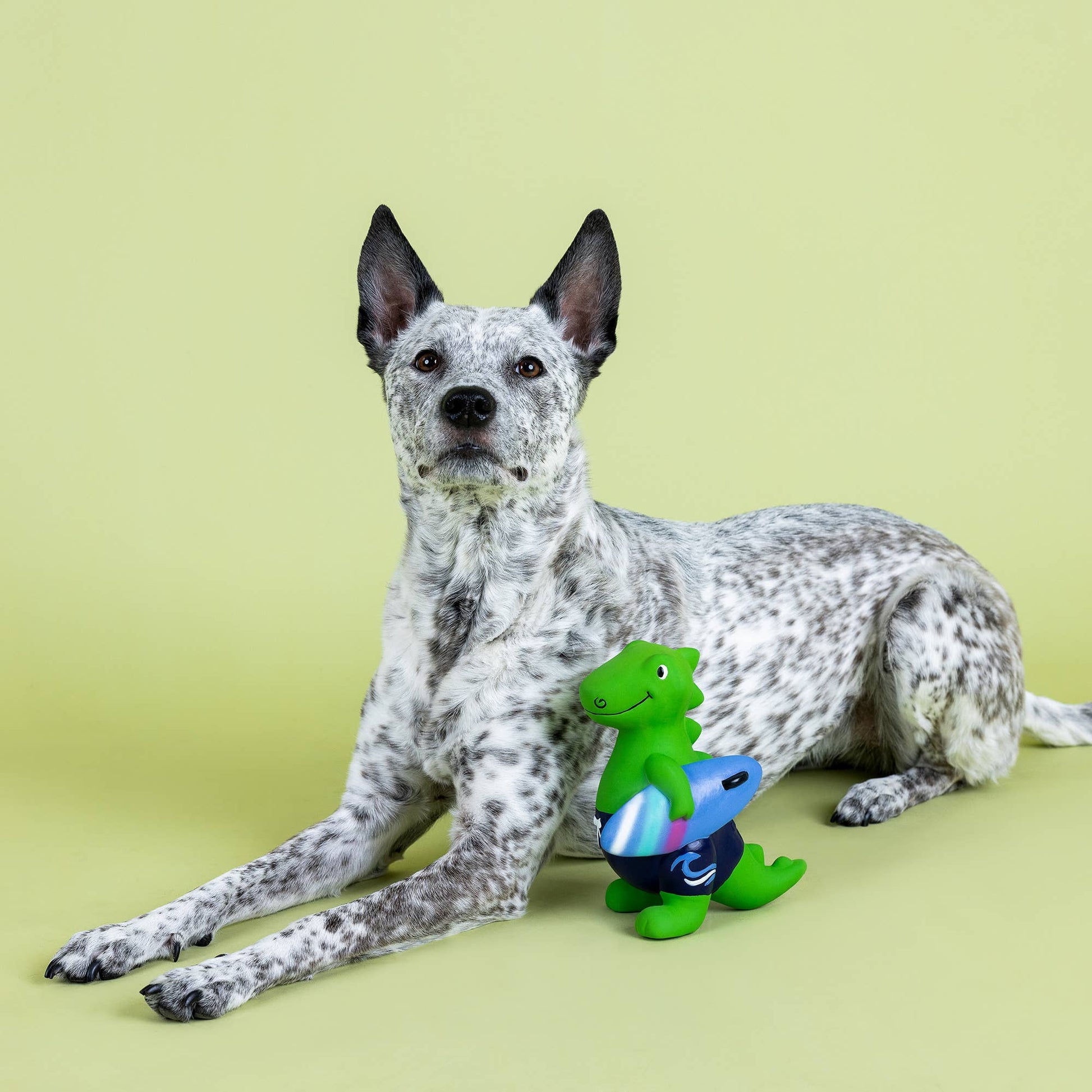 GOOD VIBES HIGH TIDES LATEX DOG TOY – Koda Company