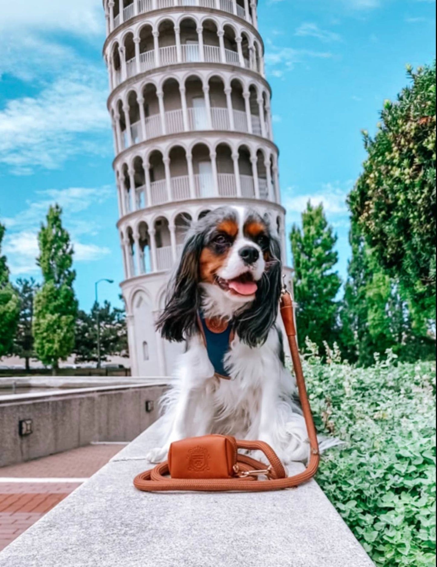 The Classic Leash - Saddle