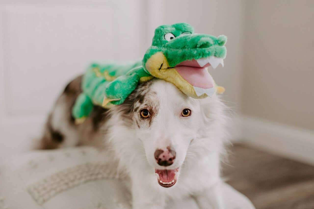 Gator Green Dog Toy XXL