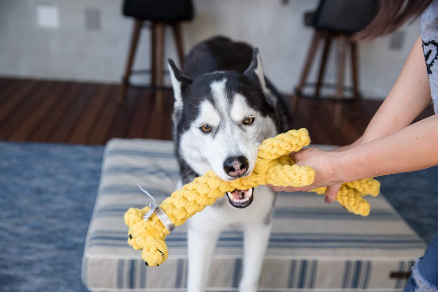 Jax & Bones Jerry the Giraffe Dog Rope Toy Large 11"