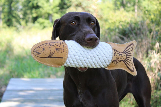 Natural Leather Rope Toy - Trout