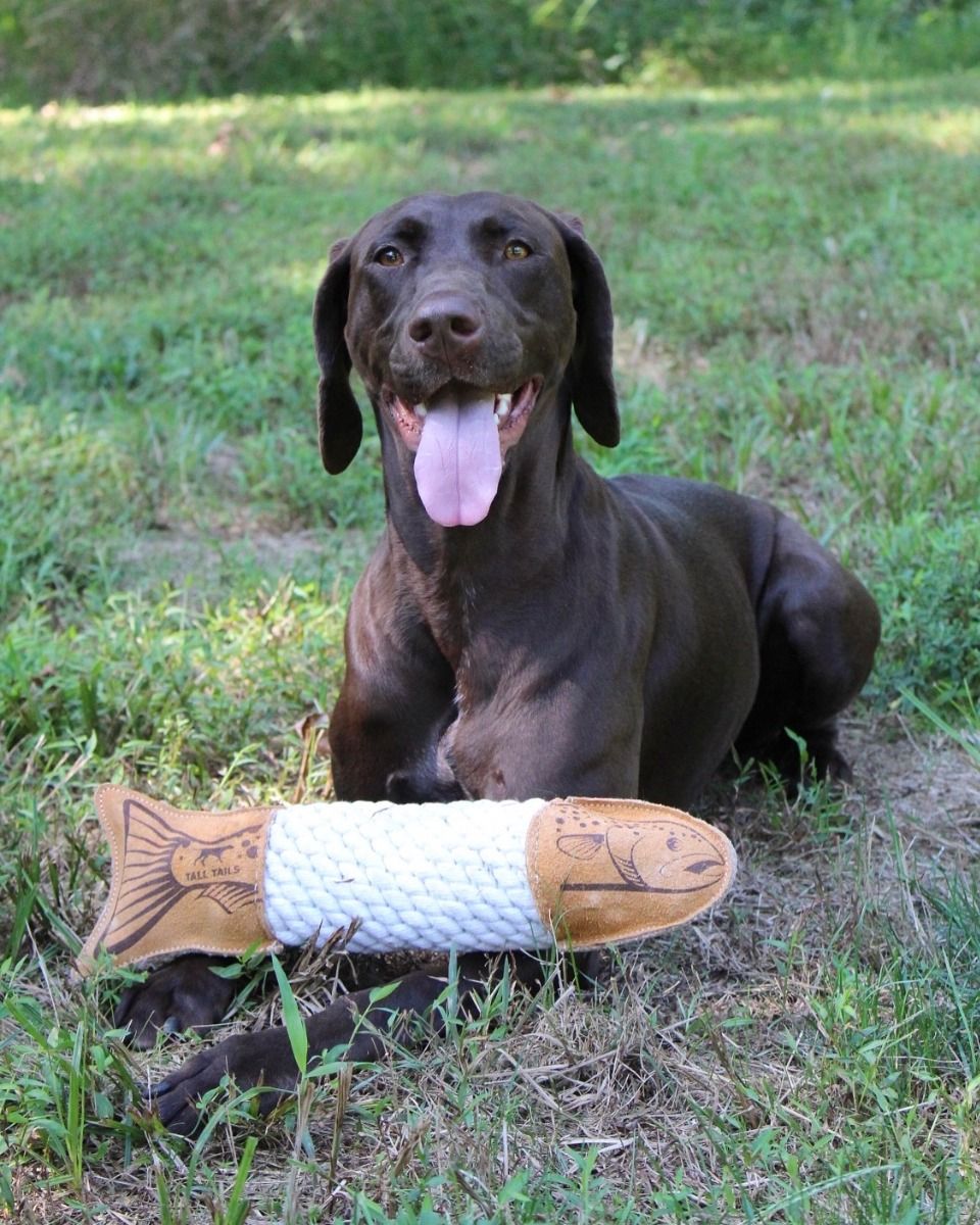 Natural Leather Rope Toy - Trout