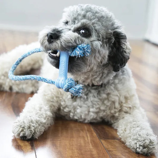 Kong Puppy Goodie Bone w/ Rope