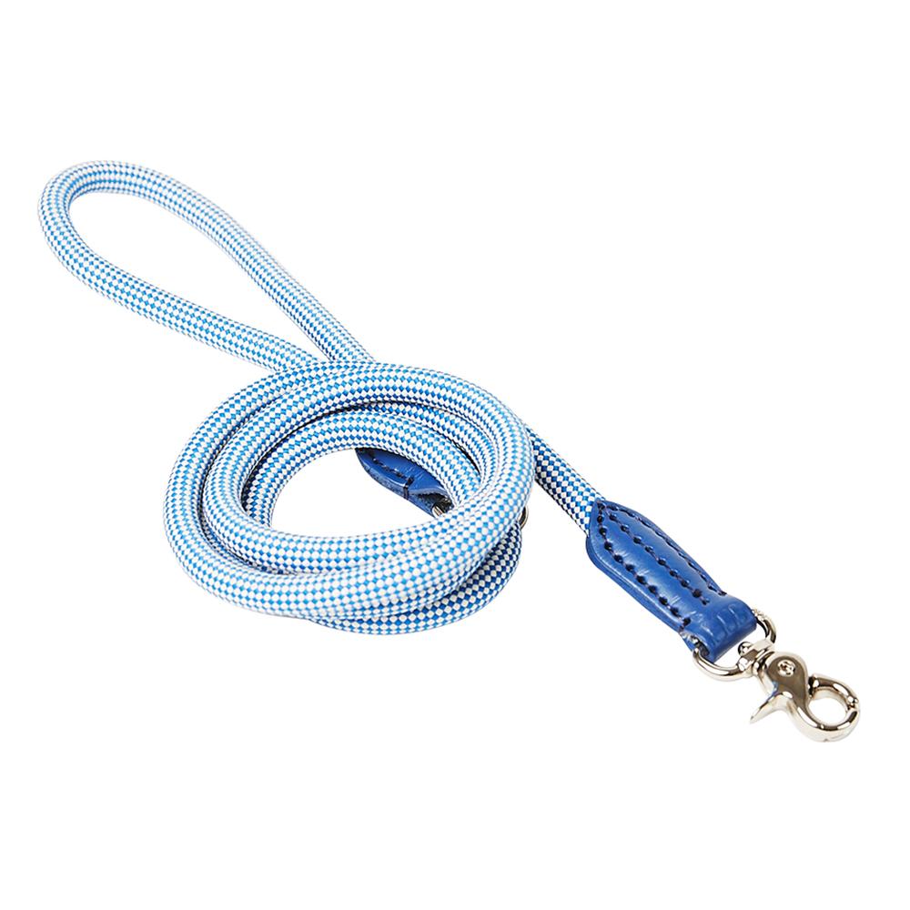 Blue Check Leash