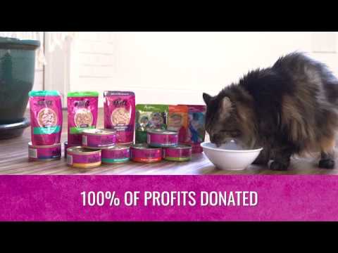 Rawz Shredded Chicken Egg Pouches For Cats Koda Company