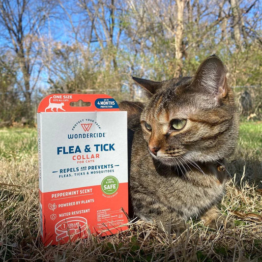 Cat wearing a Wondercide flea and tick collar with packaging in a grassy outdoor setting