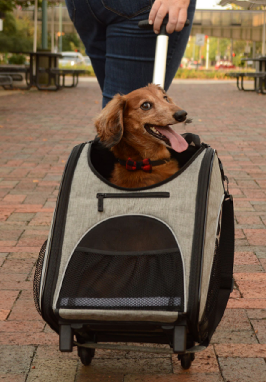 Bergan Rolling Pet Carrier