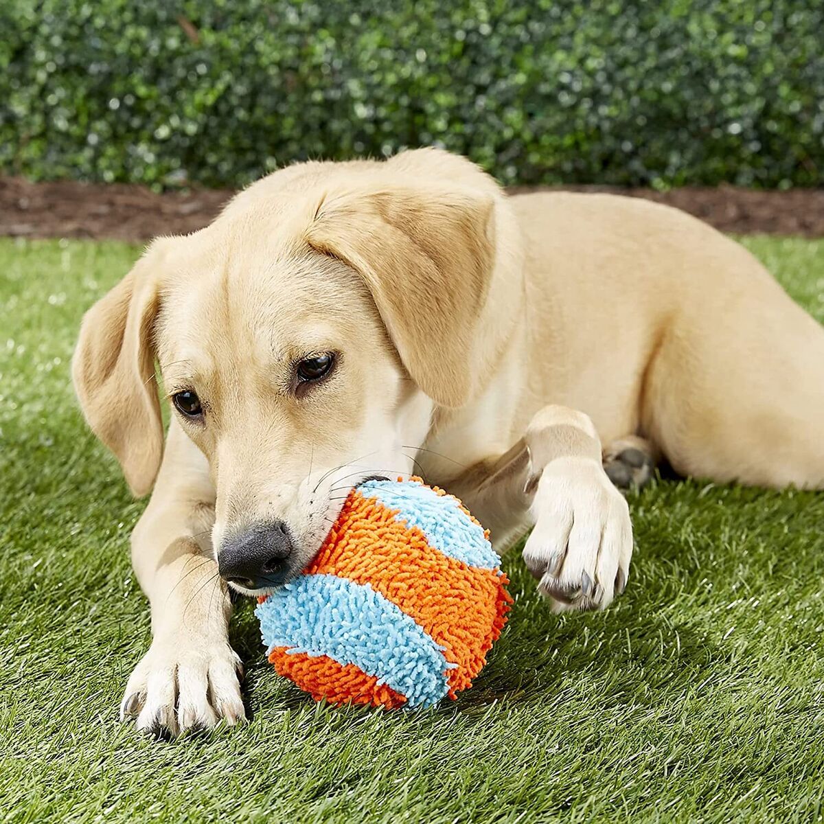 Chuckit!® Indoor Ball – Soft, Non-Slip Fetch Toy for Dogs, Perfect for Indoor Play, Safe for Teeth and Furniture