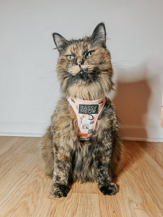 Cat Harness -Smitten Kitten