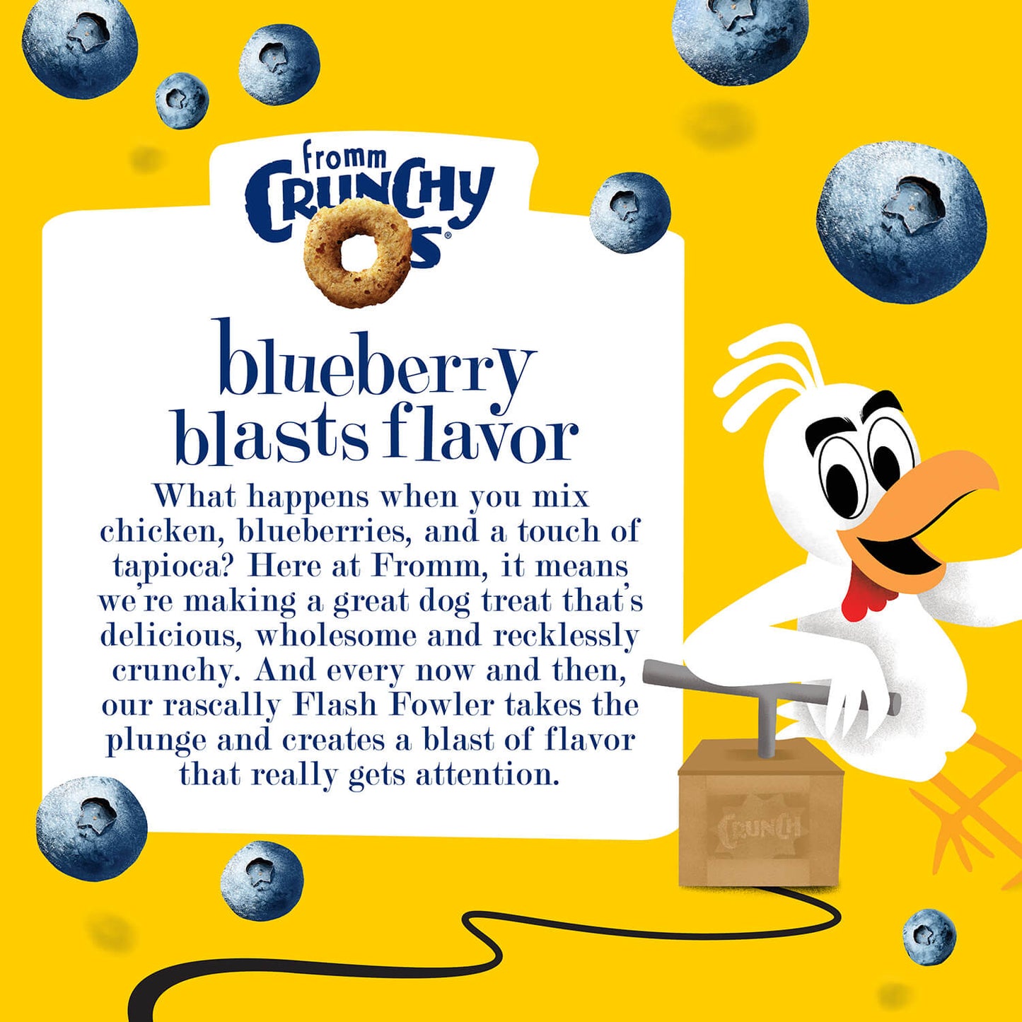 Fromm Crunchy O's Blueberry Blast Dog Treats - Grain-free, chicken and blueberry flavored treats with wholesome ingredients like peas, tapioca, and coconut oil, providing a delicious and nutritious snack for dogs.