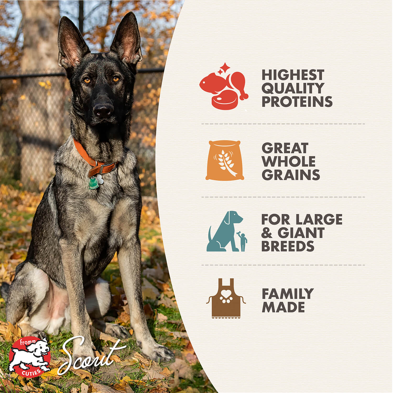 Fromm Family Gold Large Breed Adult Dog Food bag featuring a high-quality, chicken-based formula with tailored nutrition for large breed dogs' health and joint support.